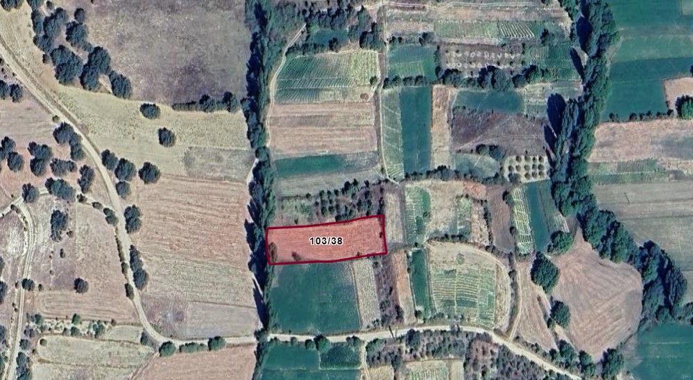 Fotoğraf